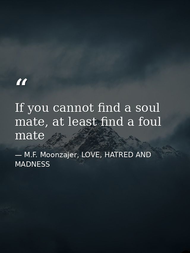If you cannot find a soul mate, at least find a foul mate — M.F. Moonzajer, LOVE, HATRED AND MADNESS