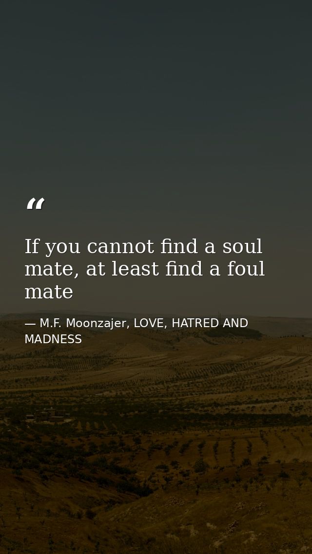 If you cannot find a soul mate, at least find a foul mate — M.F. Moonzajer, LOVE, HATRED AND MADNESS