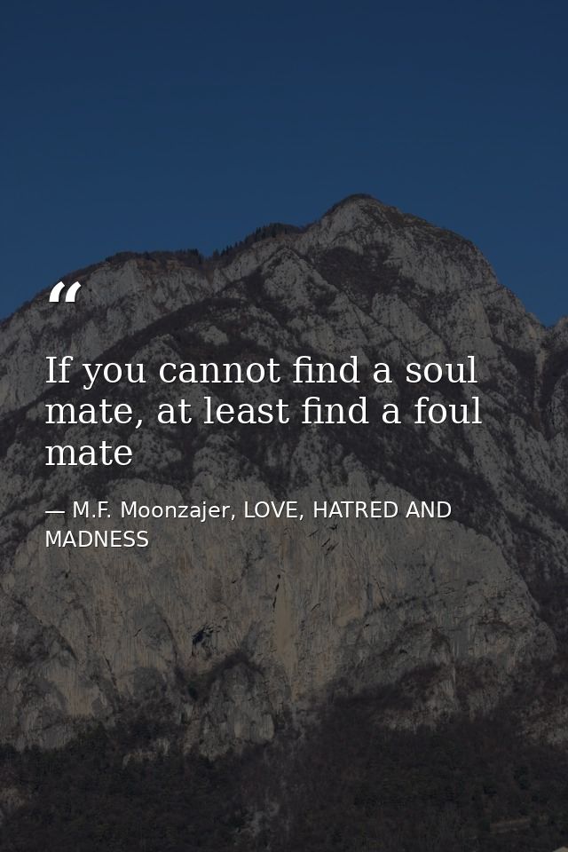 If you cannot find a soul mate, at least find a foul mate — M.F. Moonzajer, LOVE, HATRED AND MADNESS