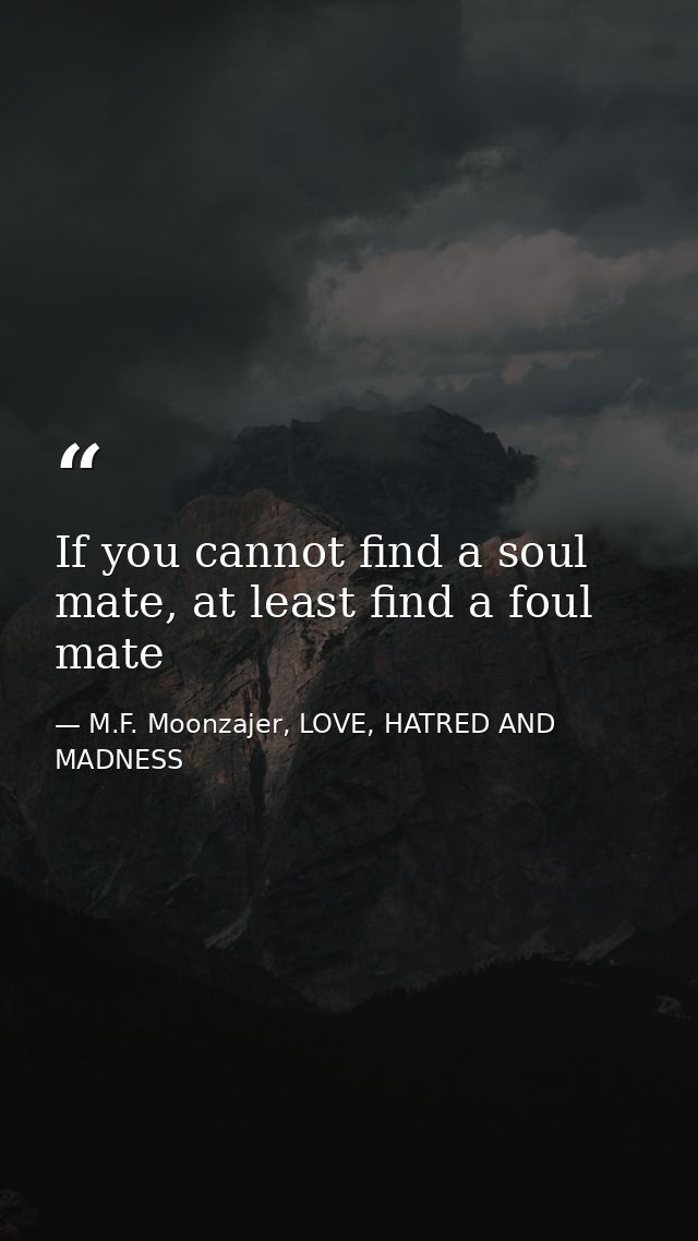 If you cannot find a soul mate, at least find a foul mate — M.F. Moonzajer, LOVE, HATRED AND MADNESS