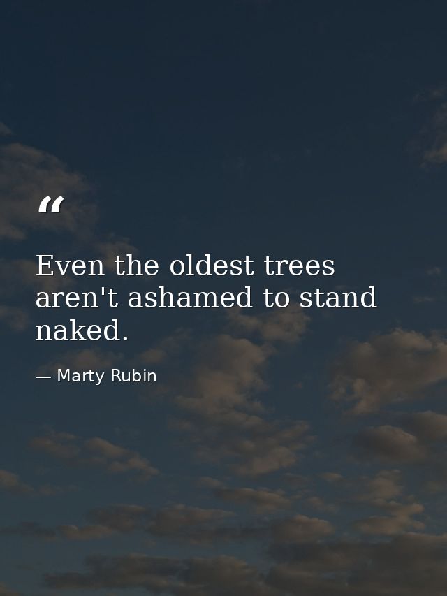 Even the oldest trees aren't ashamed to stand naked. — Marty Rubin