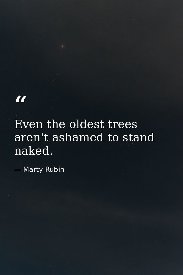 Even the oldest trees aren't ashamed to stand naked. — Marty Rubin