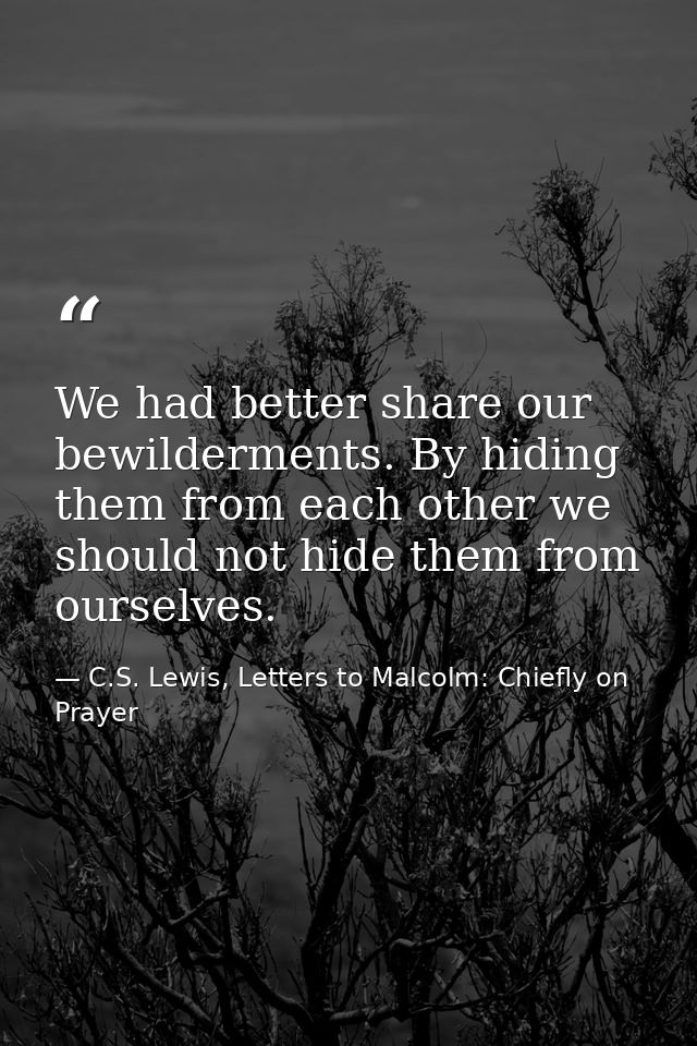We had better share our bewilderments. By hiding them from each other we should not hide them from ourselves. — C.S. Lewis, Letters to Malcolm: Chiefly on Prayer