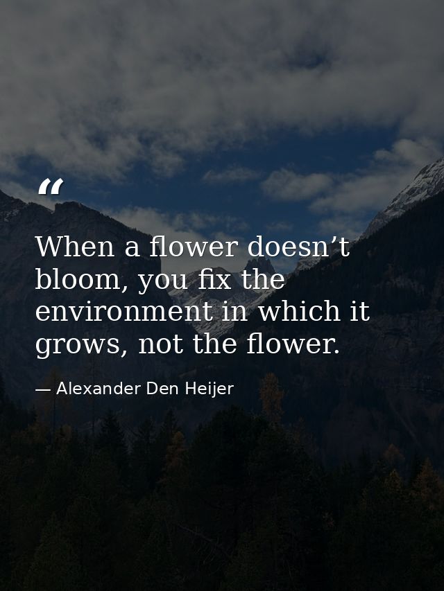When a flower doesn’t bloom, you fix the environment in which it grows, not the flower. — Alexander Den Heijer