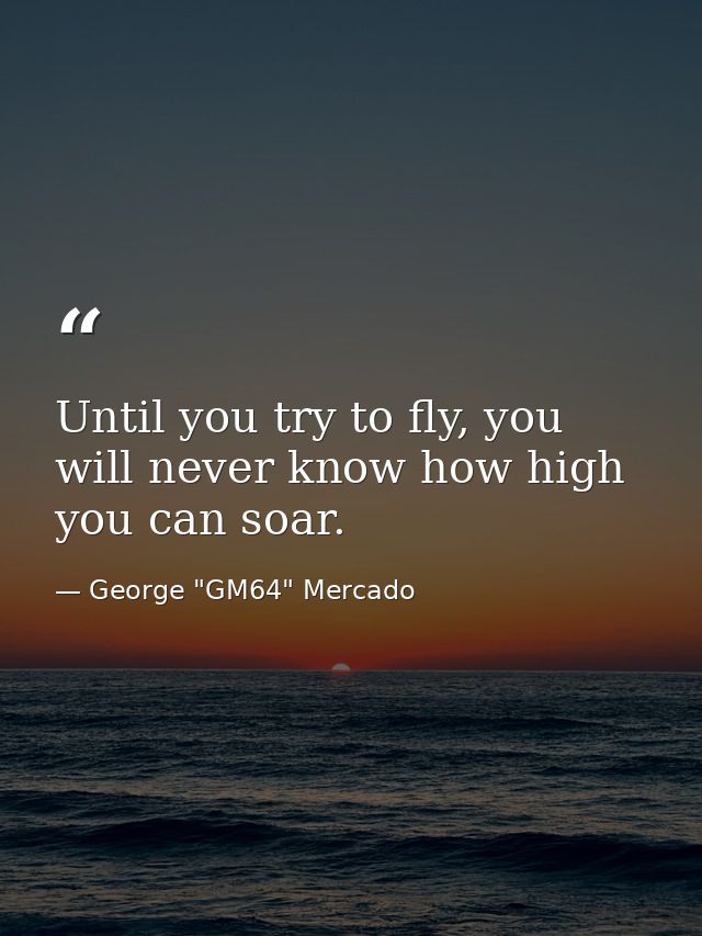 Until you try to fly, you will never know how high you can soar. — George "GM64" Mercado