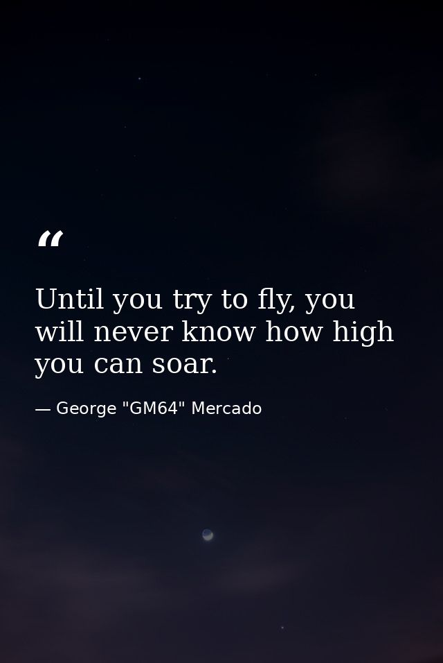 Until you try to fly, you will never know how high you can soar. — George "GM64" Mercado