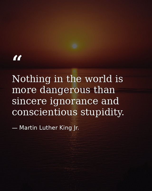 Nothing in the world is more dangerous than sincere ignorance and conscientious stupidity. — Martin Luther King Jr.