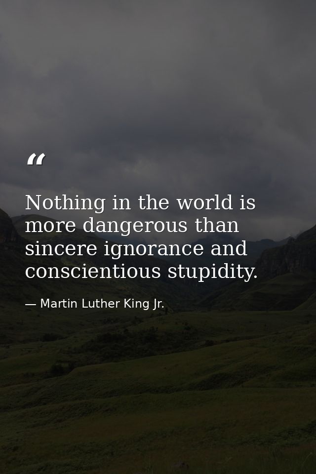 Nothing in the world is more dangerous than sincere ignorance and conscientious stupidity. — Martin Luther King Jr.