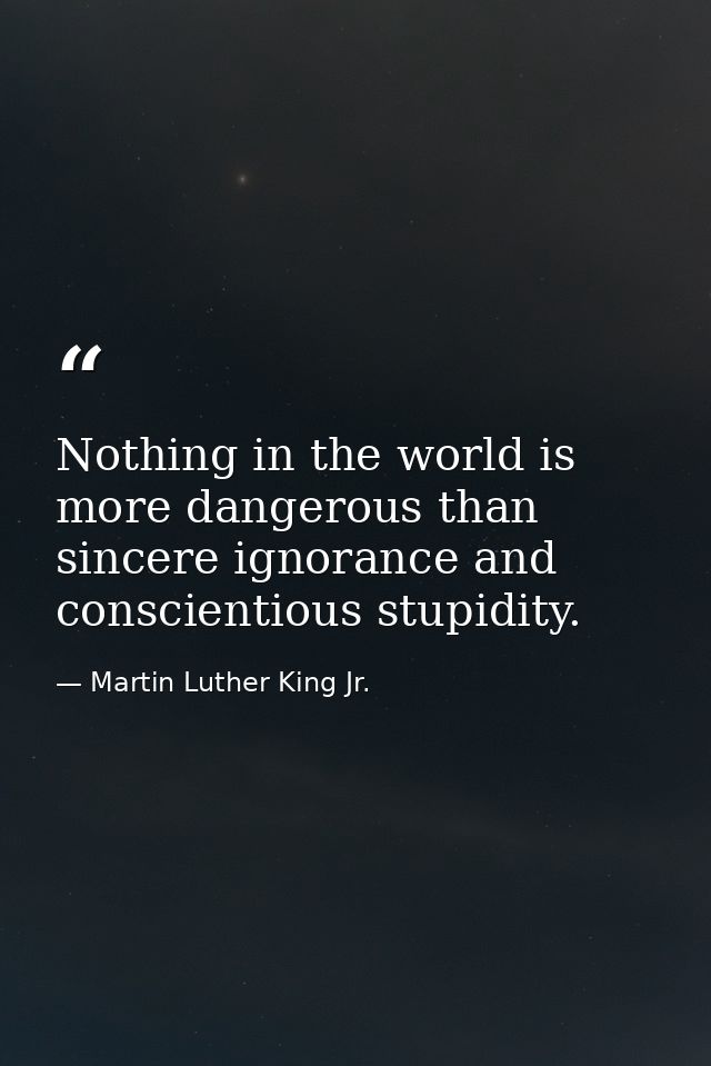 Nothing in the world is more dangerous than sincere ignorance and conscientious stupidity. — Martin Luther King Jr.