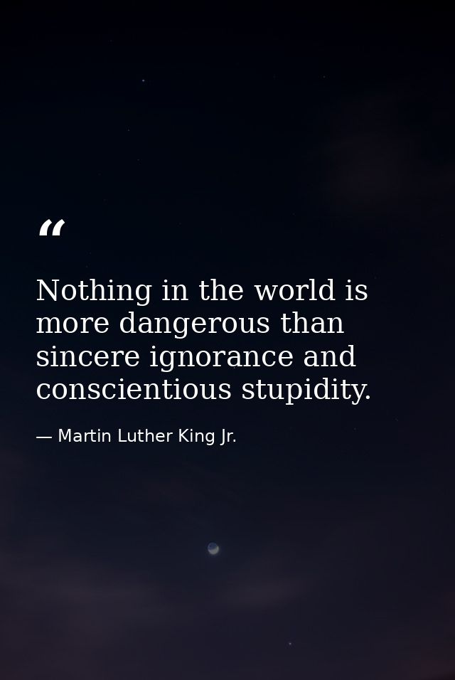 Nothing in the world is more dangerous than sincere ignorance and conscientious stupidity. — Martin Luther King Jr.