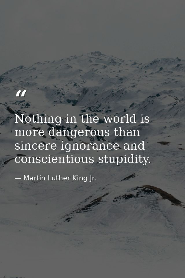 Nothing in the world is more dangerous than sincere ignorance and conscientious stupidity. — Martin Luther King Jr.