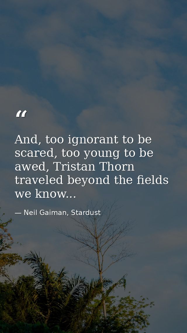 And, too ignorant to be scared, too young to be awed, Tristan Thorn traveled beyond the fields we know... — Neil Gaiman, Stardust