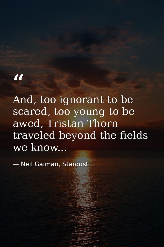 And, too ignorant to be scared, too young to be awed, Tristan Thorn traveled beyond the fields we know... — Neil Gaiman, Stardust