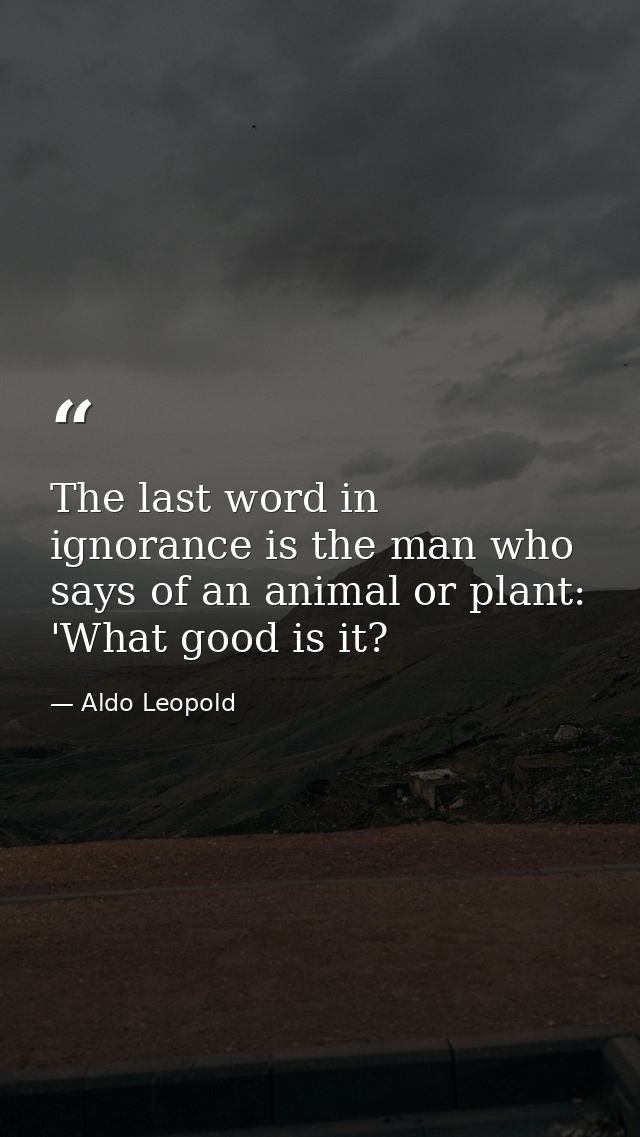 The last word in ignorance is the man who says of an animal or plant: 'What good is it? — Aldo Leopold