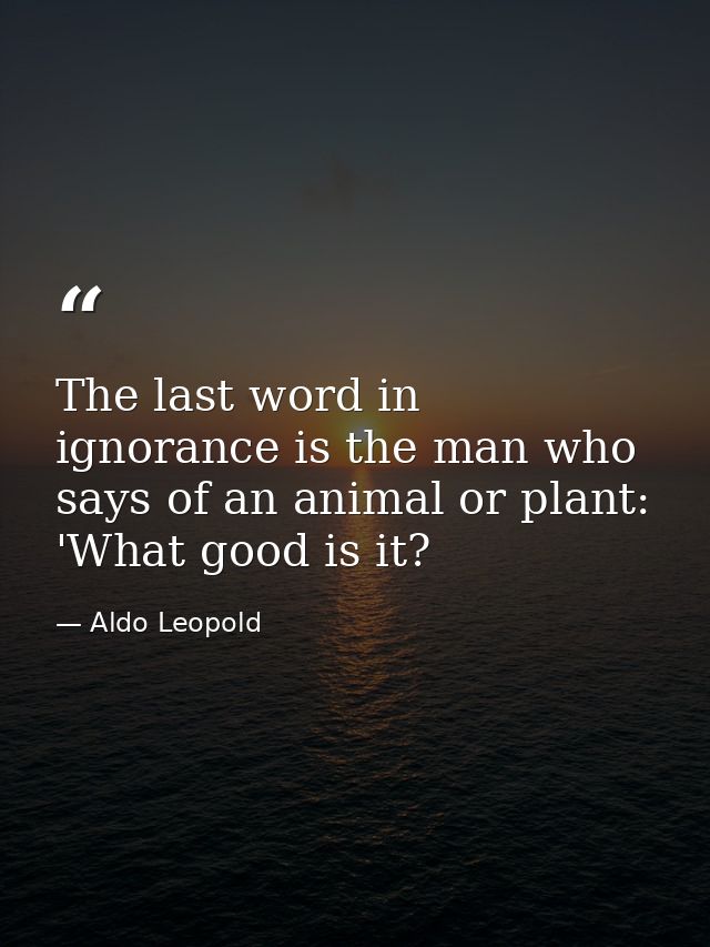 The last word in ignorance is the man who says of an animal or plant: 'What good is it? — Aldo Leopold
