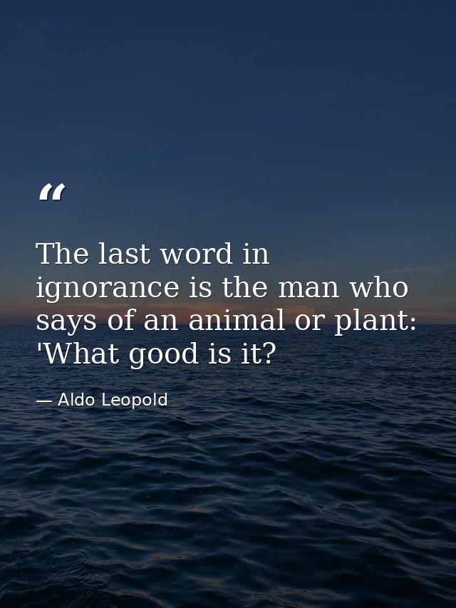 The last word in ignorance is the man who says of an animal or plant: 'What good is it? — Aldo Leopold
