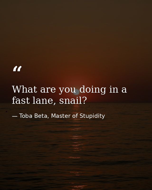 What are you doing in a fast lane, snail? — Toba Beta, Master of Stupidity