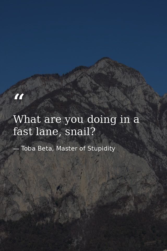 What are you doing in a fast lane, snail? — Toba Beta, Master of Stupidity