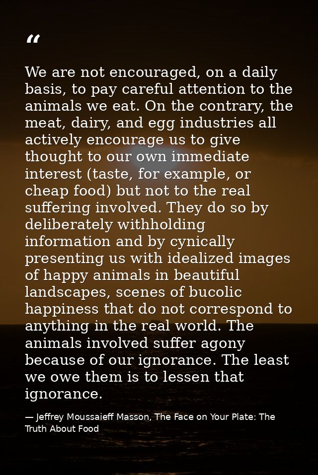 We are not encouraged, on a daily basis, to pay careful attention to the animals we eat. On the contrary, the meat, dair — Jeffrey Moussaieff Masson, The Face on Your Plate: The Truth About Food