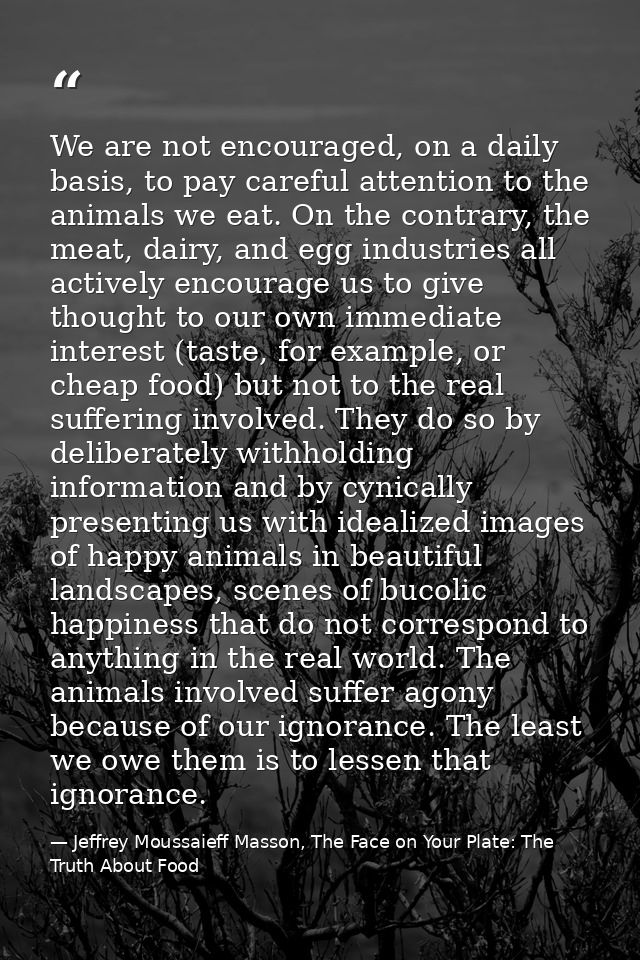 We are not encouraged, on a daily basis, to pay careful attention to the animals we eat. On the contrary, the meat, dair — Jeffrey Moussaieff Masson, The Face on Your Plate: The Truth About Food