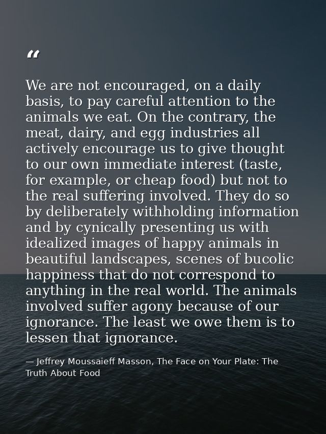 We are not encouraged, on a daily basis, to pay careful attention to the animals we eat. On the contrary, the meat, dair — Jeffrey Moussaieff Masson, The Face on Your Plate: The Truth About Food
