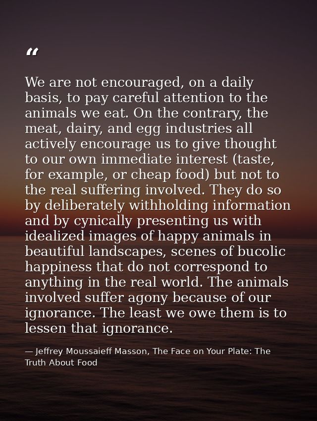 We are not encouraged, on a daily basis, to pay careful attention to the animals we eat. On the contrary, the meat, dair — Jeffrey Moussaieff Masson, The Face on Your Plate: The Truth About Food