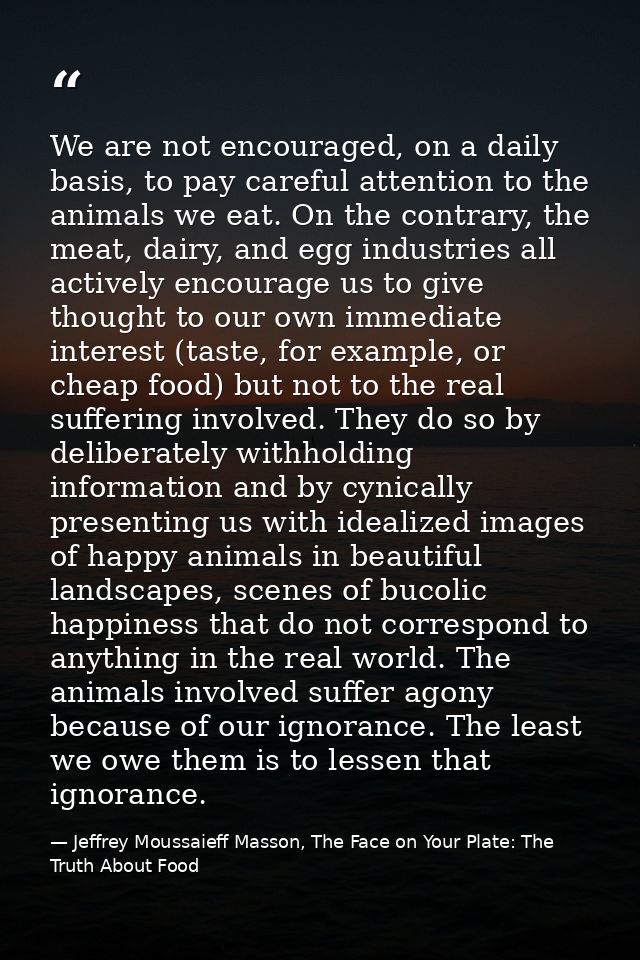 We are not encouraged, on a daily basis, to pay careful attention to the animals we eat. On the contrary, the meat, dair — Jeffrey Moussaieff Masson, The Face on Your Plate: The Truth About Food