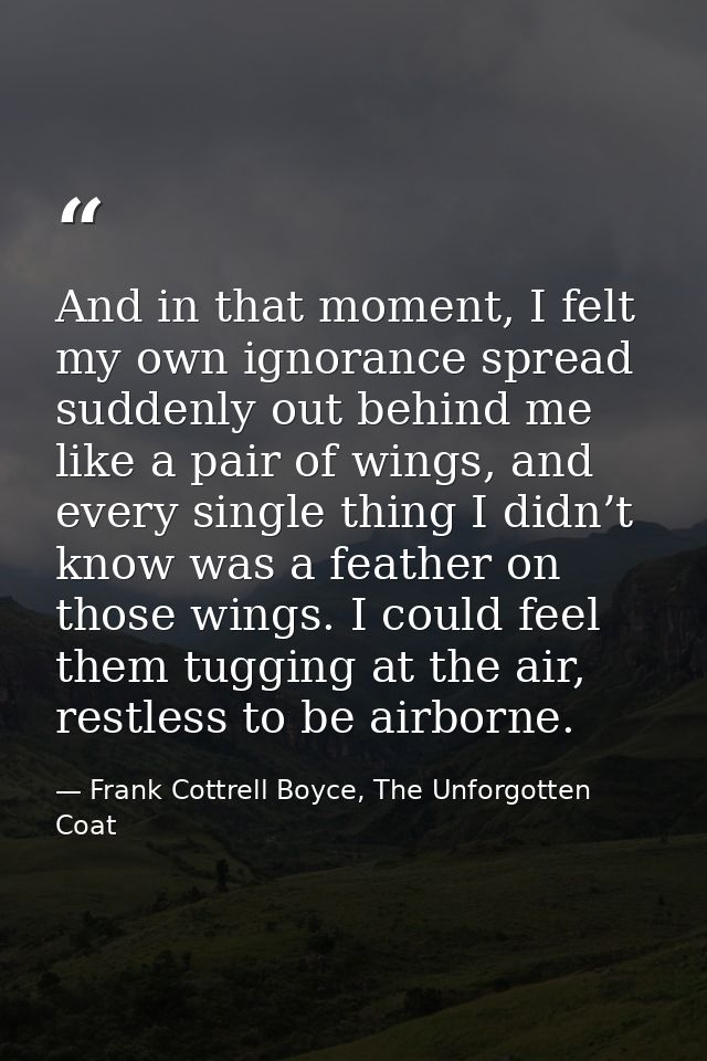 And in that moment, I felt my own ignorance spread suddenly out behind me like a pair of wings, and every single thing I — Frank Cottrell Boyce, The Unforgotten Coat