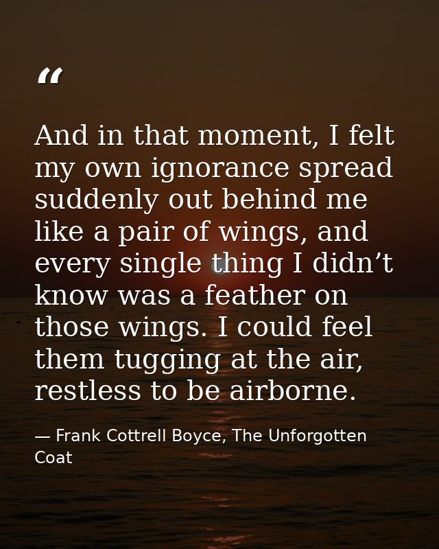 And in that moment, I felt my own ignorance spread suddenly out behind me like a pair of wings, and every single thing I — Frank Cottrell Boyce, The Unforgotten Coat