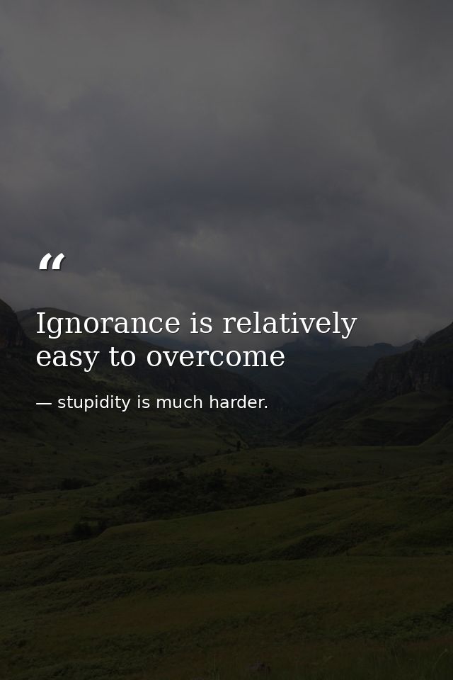 Ignorance is relatively easy to overcome — stupidity is much harder.