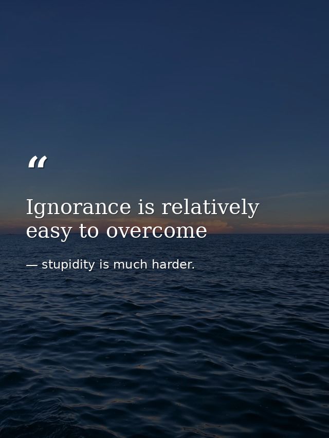 Ignorance is relatively easy to overcome — stupidity is much harder.