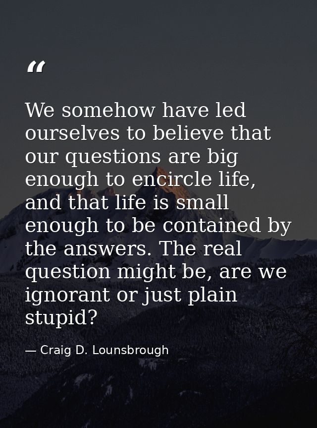 We somehow have led ourselves to believe that our questions are big enough to encircle life, and that life is small enou — Craig D. Lounsbrough