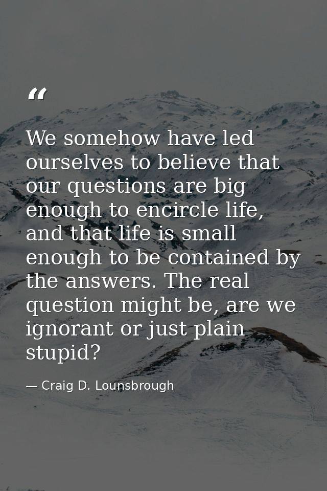 We somehow have led ourselves to believe that our questions are big enough to encircle life, and that life is small enou — Craig D. Lounsbrough