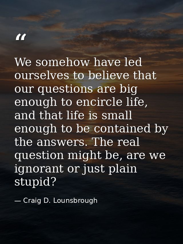 We somehow have led ourselves to believe that our questions are big enough to encircle life, and that life is small enou — Craig D. Lounsbrough