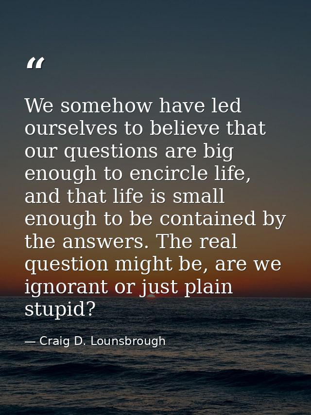 We somehow have led ourselves to believe that our questions are big enough to encircle life, and that life is small enou — Craig D. Lounsbrough