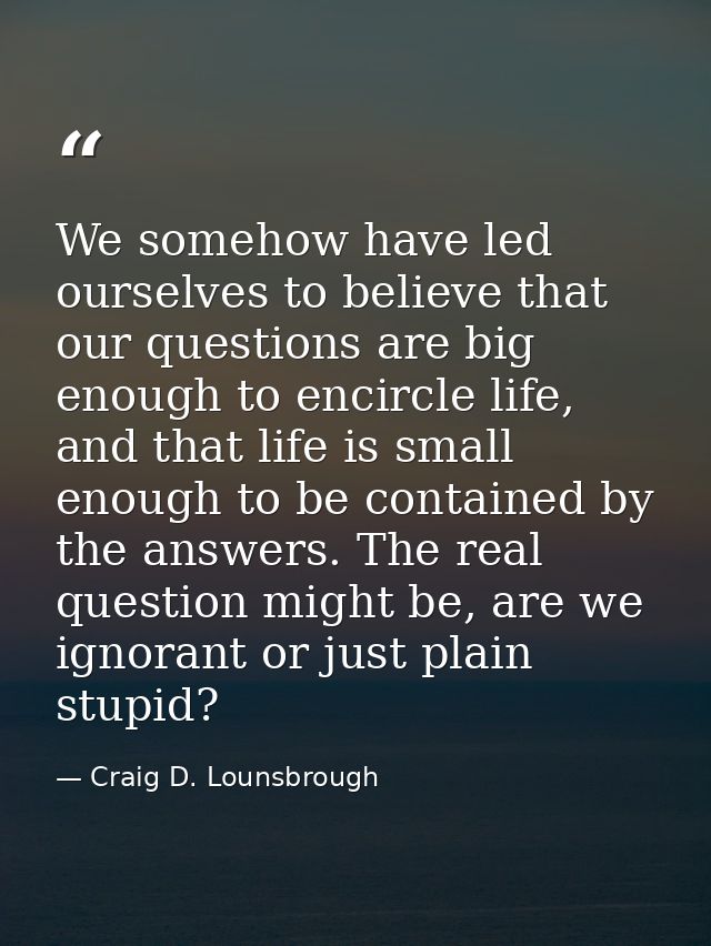 We somehow have led ourselves to believe that our questions are big enough to encircle life, and that life is small enou — Craig D. Lounsbrough