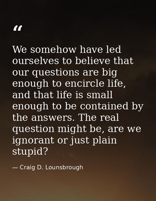 We somehow have led ourselves to believe that our questions are big enough to encircle life, and that life is small enou — Craig D. Lounsbrough