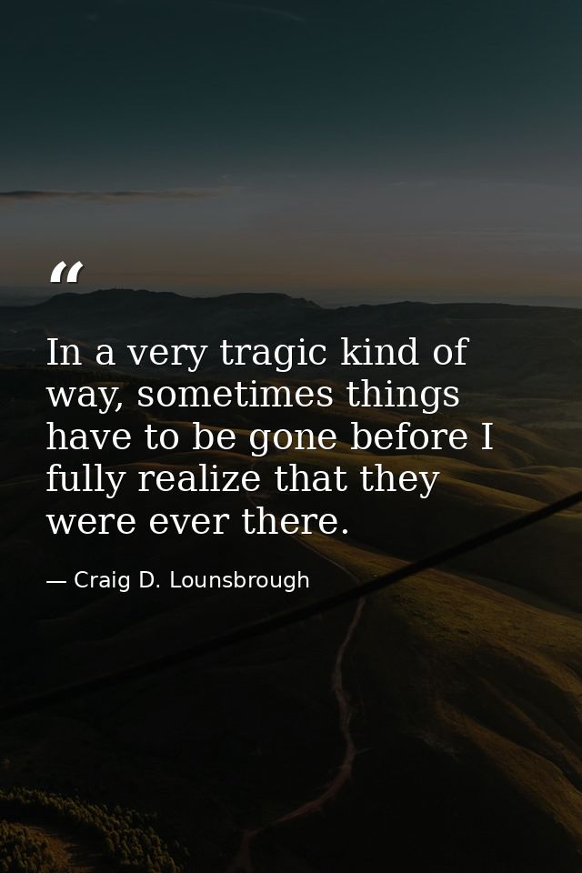 In a very tragic kind of way, sometimes things have to be gone before I fully realize that they were ever there. — Craig D. Lounsbrough