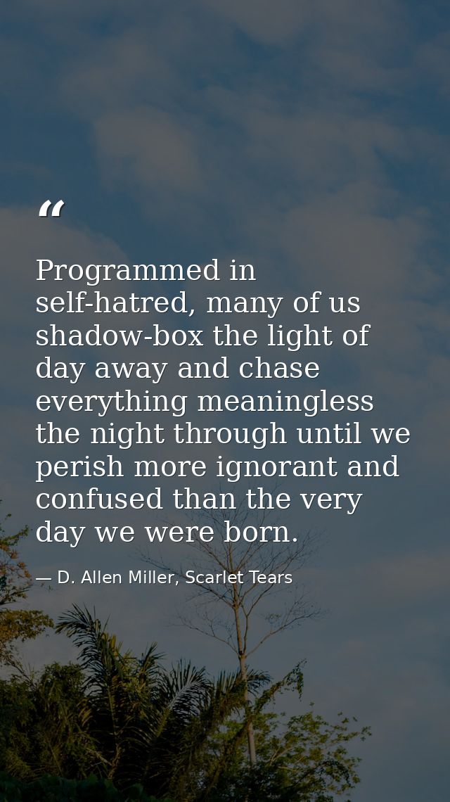 Programmed in self-hatred, many of us shadow-box the light of day away and chase everything meaningless the night throug — D. Allen Miller, Scarlet Tears