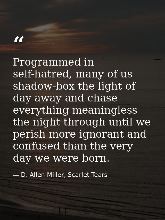 Programmed in self-hatred, many of us shadow-box the light of day away and chase everything meaningless the night throug — D. Allen Miller, Scarlet Tears