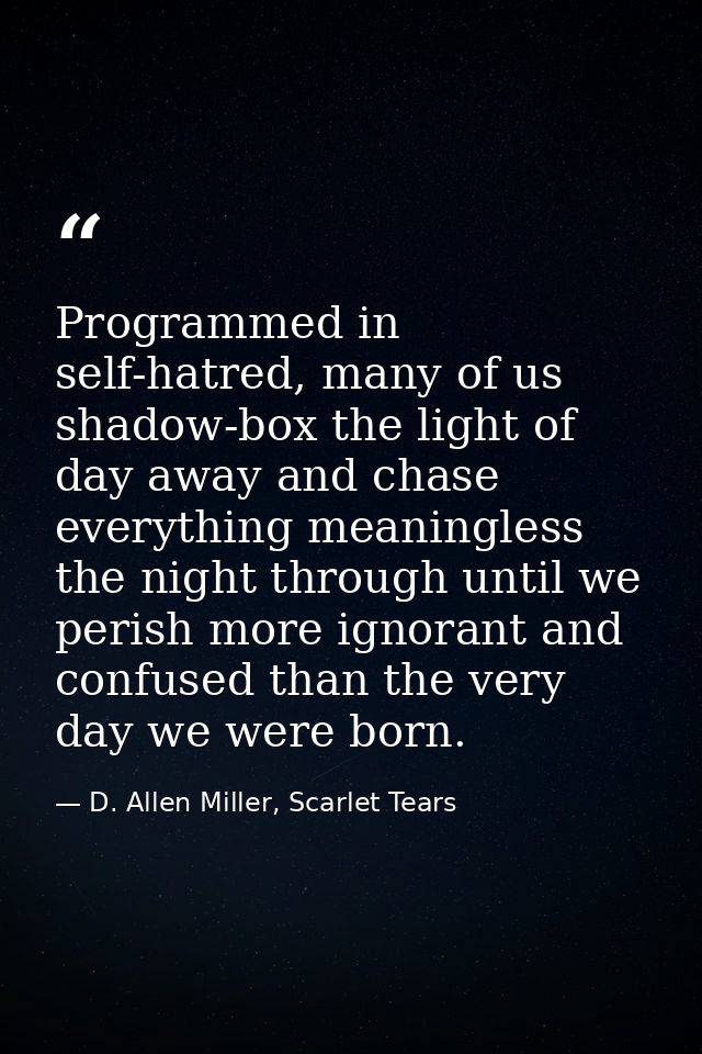 Programmed in self-hatred, many of us shadow-box the light of day away and chase everything meaningless the night throug — D. Allen Miller, Scarlet Tears
