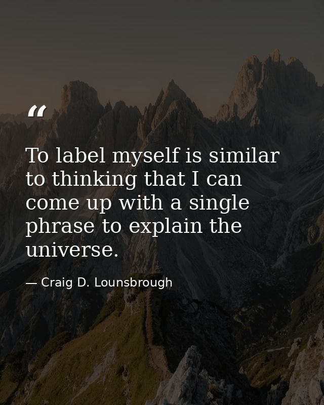 To label myself is similar to thinking that I can come up with a single phrase to explain the universe. — Craig D. Lounsbrough