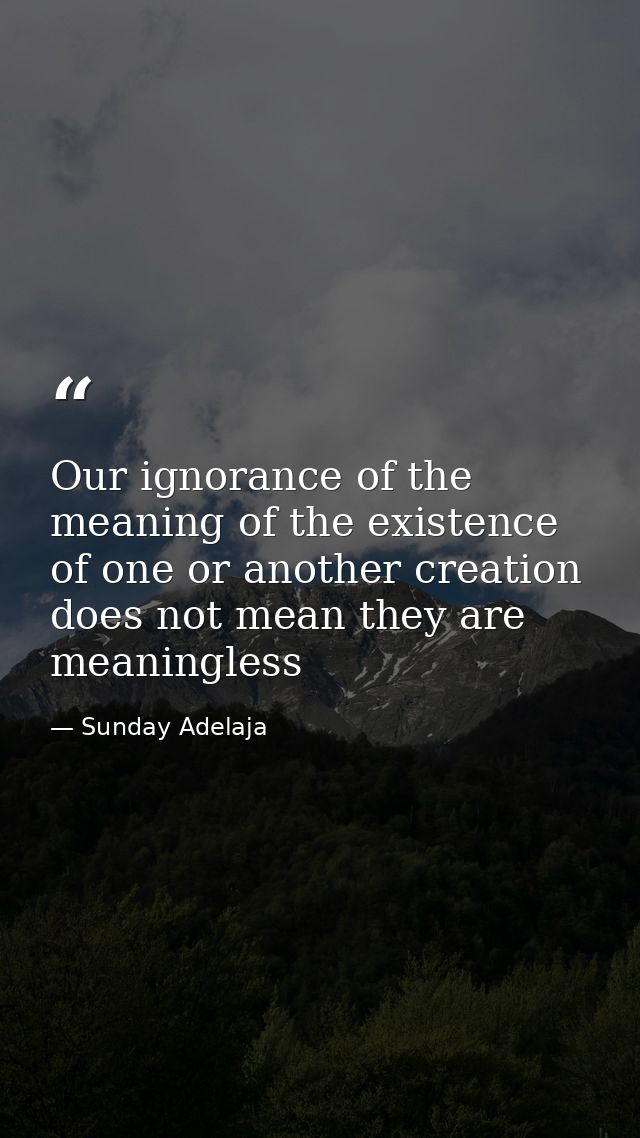 Our ignorance of the meaning of the existence of one or another creation does not mean they are meaningless — Sunday Adelaja