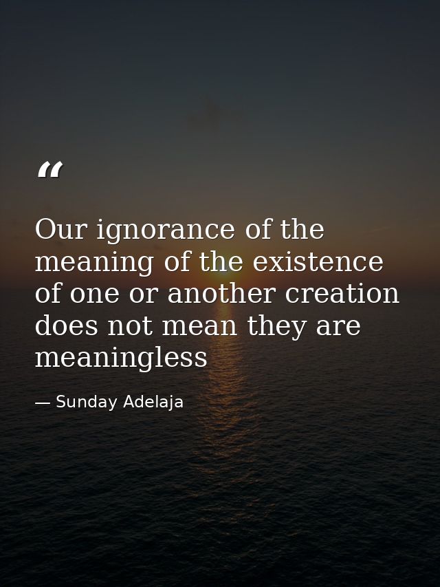 Our ignorance of the meaning of the existence of one or another creation does not mean they are meaningless — Sunday Adelaja