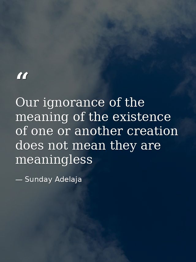Our ignorance of the meaning of the existence of one or another creation does not mean they are meaningless — Sunday Adelaja