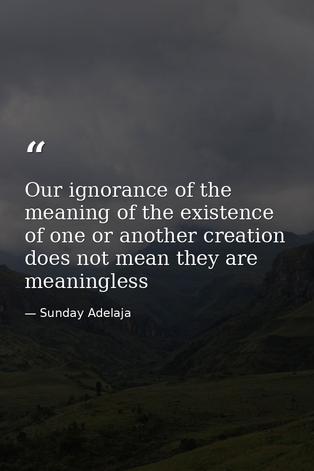 Our ignorance of the meaning of the existence of one or another creation does not mean they are meaningless — Sunday Adelaja