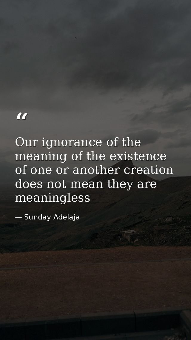 Our ignorance of the meaning of the existence of one or another creation does not mean they are meaningless — Sunday Adelaja