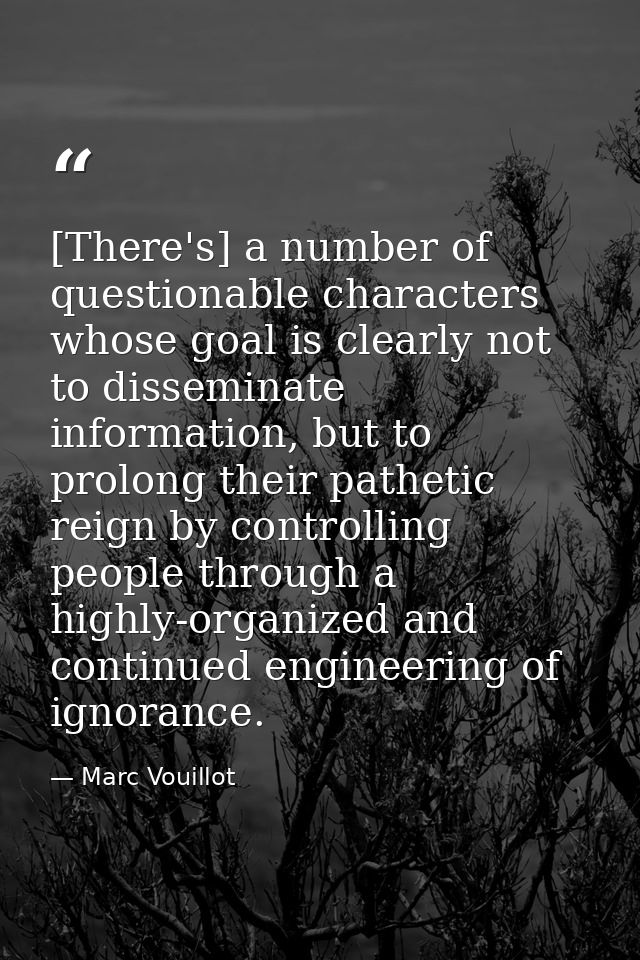 [There's] a number of questionable characters whose goal is clearly not to disseminate information, but to prolong their — Marc Vouillot
