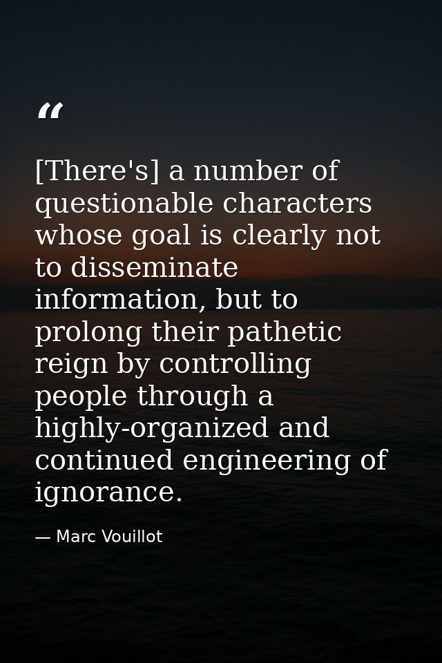 [There's] a number of questionable characters whose goal is clearly not to disseminate information, but to prolong their — Marc Vouillot