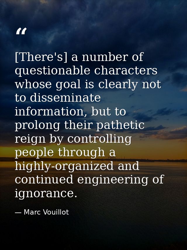 [There's] a number of questionable characters whose goal is clearly not to disseminate information, but to prolong their — Marc Vouillot